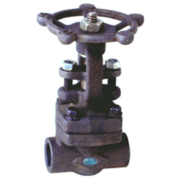 Owl Image